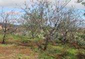 Terreno no urbanizable en venta en la España, Valsequillo, ref: TR369988 foto