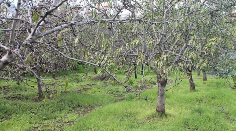 Las Palmas - Valsequillo - 1691m2