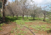 Terreno no urbanizable en venta en la España, Valsequillo, ref: TR369988 foto