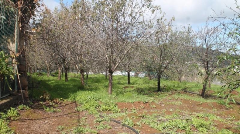 Las Palmas - Valsequillo - 1691m2
