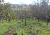 Terreno no urbanizable en venta en la España, Valsequillo, ref: TR369988 foto