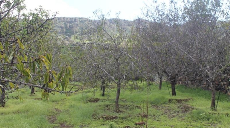 Las Palmas - Valsequillo - 1691m2