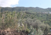 Terreno no urbanizable en venta en la España, Valsequillo, ref: TR369988 foto