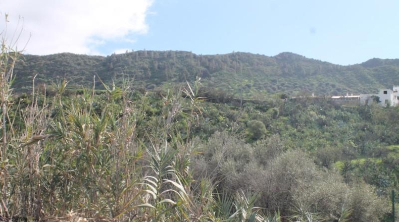 Las Palmas - Valsequillo - 1691m2