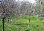 Terreno no urbanizable en venta en la España, Valsequillo, ref: TR369988 foto