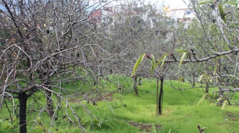 Las Palmas - Valsequillo - 1691m2