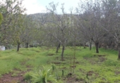 Terreno no urbanizable en venta en la España, Valsequillo, ref: TR369988 foto