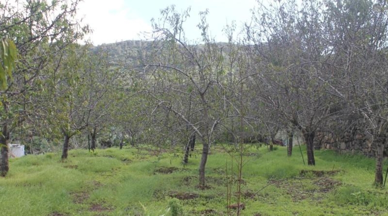 Las Palmas - Valsequillo - 1691m2