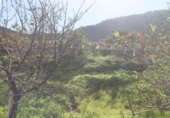 Terreno no urbanizable en venta en la España, Valsequillo, ref: TR369988 foto