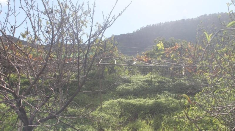 Las Palmas - Valsequillo - 1691m2