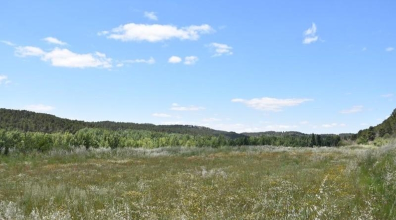 Teruel - Vall-de-roures - 27200m2