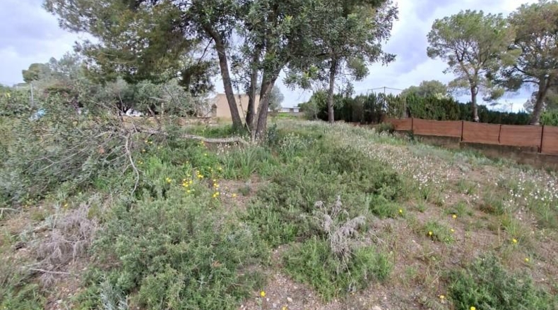 València - Bétera - 1130m2