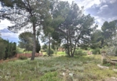 Suelo urbano en venta en la España, Bétera, ref: TR114893 foto