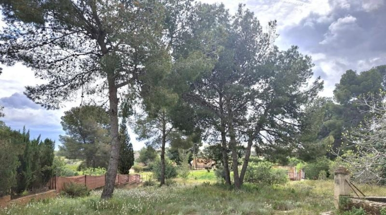 València - Bétera - 1130m2