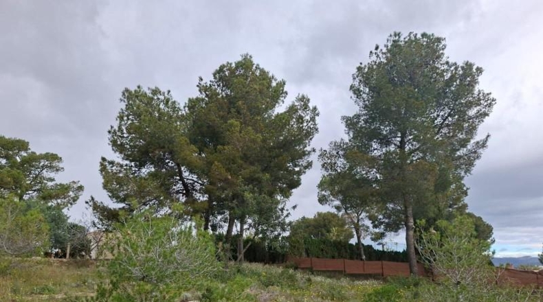 València - Bétera - 1130m2