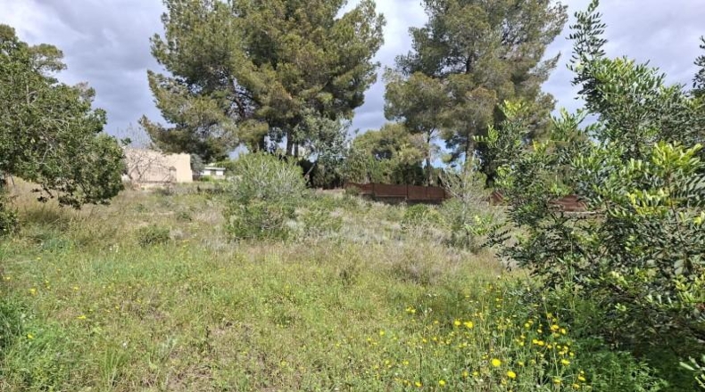 València - Bétera - 1130m2