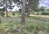 Suelo urbano en venta en la España, Bétera, ref: TR114893 foto