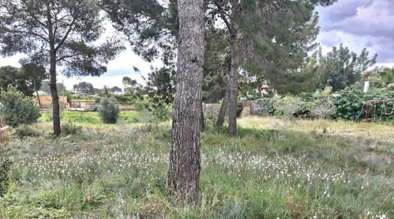 València - Bétera - 1130m2