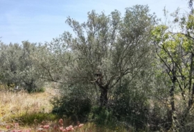 Tortosa 20845&nbsp;m²