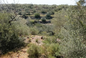 Tortosa 20845&nbsp;m²