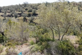 Tortosa 20845&nbsp;m²