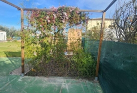 Foto 6