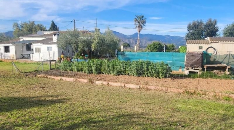 Castellón - Castellón de la Plana - 1344m2