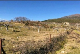 Candeleda 6829&nbsp;m²