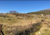 Terreno no urbanizable en venta en la España, Candeleda, ref: TR124085 foto
