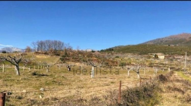 Ávila - Candeleda - 6829m2
