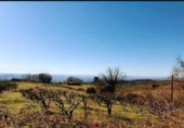 Terreno no urbanizable en venta en la España, Candeleda, ref: TR124085 foto