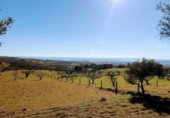 Terreno no urbanizable en venta en la España, Candeleda, ref: TR124085 foto