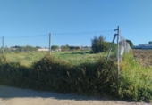Terreno no urbanizable en venta en la España, Chiclana de la Frontera, ref: TR402432 foto