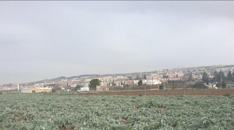 Granada - Granada - 1530m2
