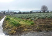 Terreno no urbanizable en venta en la España, Granada, ref: TR309235 foto
