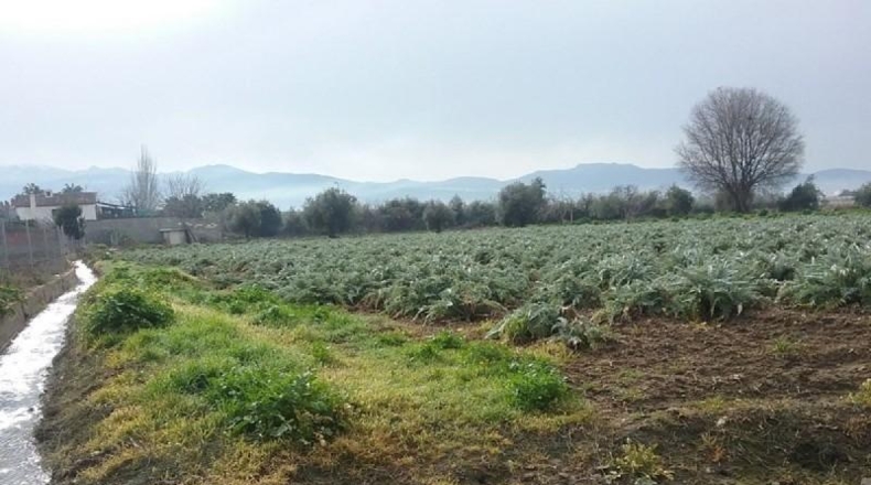 Granada - Granada - 1530m2