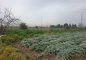 Terreno no urbanizable en venta en la España, Granada, ref: TR309235 foto