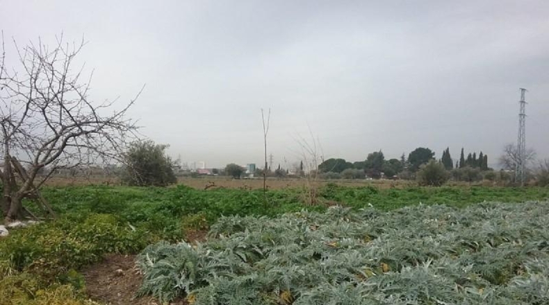 Granada - Granada - 1530m2