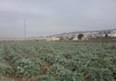 Terreno no urbanizable en venta en la España, Granada, ref: TR309235 foto