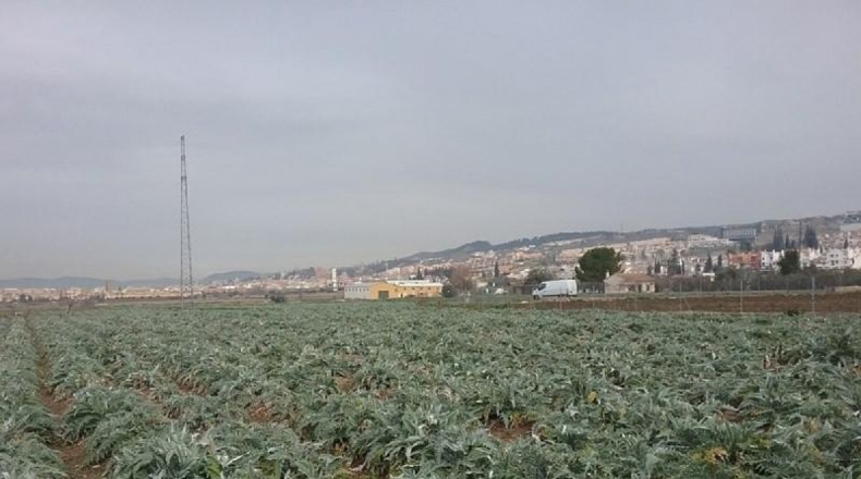 Granada - Granada - 1530m2