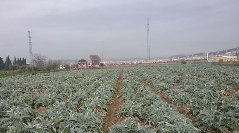 Granada - Granada - 1530m2
