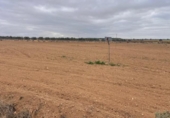 Terreno no urbanizable en venta en la España, Mahora, ref: TR180226 foto
