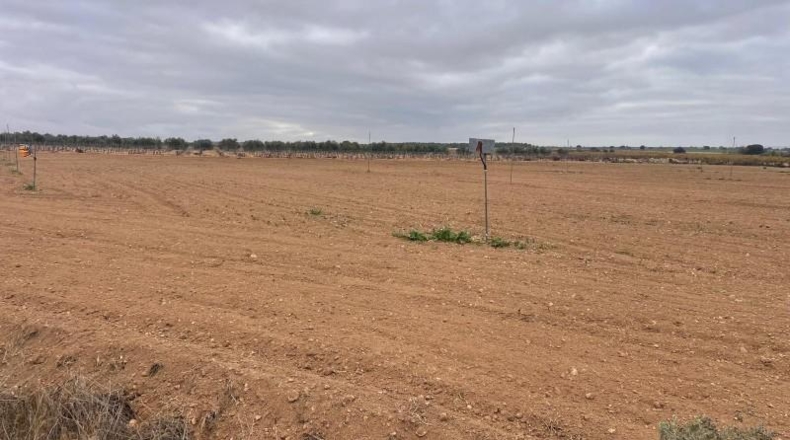 Albacete - Mahora - 23681m2