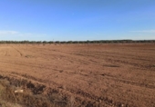 Terreno no urbanizable en venta en la España, Mahora, ref: TR180226 foto