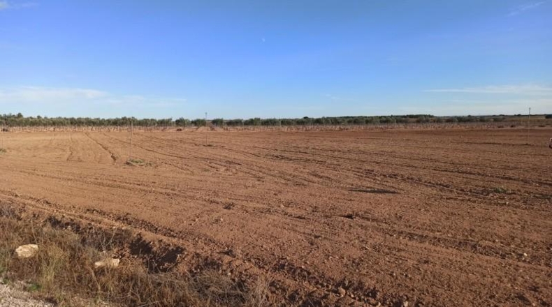 Albacete - Mahora - 23681m2