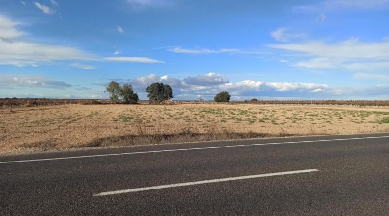 Albacete - Mahora - 23681m2