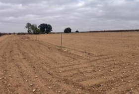 Mahora 23681&nbsp;m²