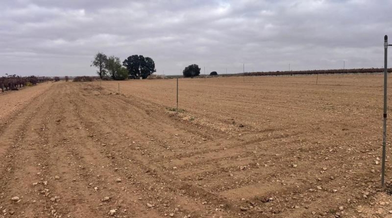 Albacete - Mahora - 23681m2