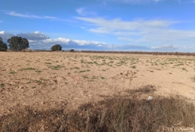 Mahora 23681&nbsp;m²