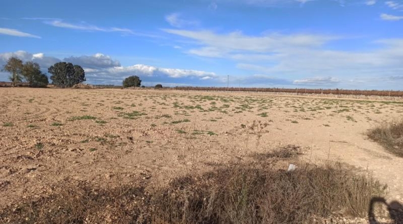 Albacete - Mahora - 23681m2